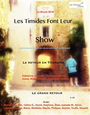 Les timides font leur show 2 : Le retour en touraine Thtre Lepic Affiche