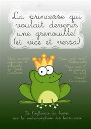 La princesse qui voulait devenir une grenouille et vice et versa Le Zygo Comdie Affiche