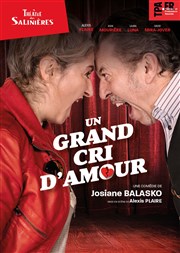 Un grand cri d'amour Thtre des Salinires Affiche