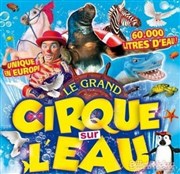 Le Cirque sur l'Eau | - Castres Chapiteau Le Cirque sur l'Eau  Castres Affiche