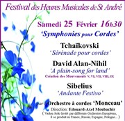 Les Chefs d'oeuvres du répertoire pour Orchestre à cordes Eglise Saint Andr de l'Europe Affiche