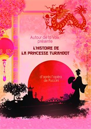 L'histoire de la Princesse Turandot Thtre Sous Le Caillou Affiche