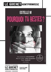 Pourquoi tu restes ? Guichet Montparnasse Affiche