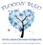 Flocon Bleu Comdie de Grenoble Affiche