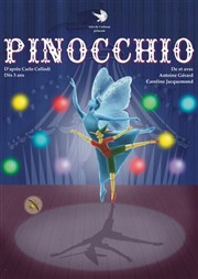 Pinocchio Akton Thtre Montreuil Affiche