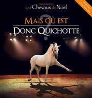 Mais où est donc Quichotte ? | Par Les Chevaux de Noël Espace Dolia Affiche