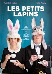 Les petits lapins La grande poste - Espace improbable Affiche