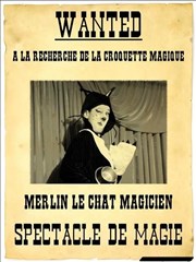 A la recherche de la croquette magique La Ptite Scne Affiche