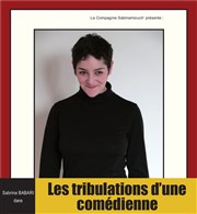 Les tribulations d'une comédienne Le mouchoir de poche Affiche