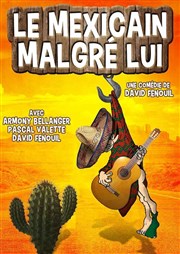 Le mexicain malgré lui L'Art D Affiche