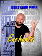 Bertrand Noël dans Enchanté Le Lieu Affiche