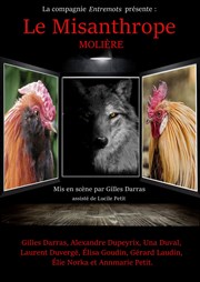 Le Misanthrope Thtre de Nesle - grande salle Affiche