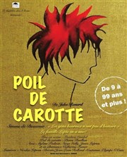 Poil de carotte Thtre Essaion Affiche