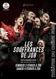 Les souffrances de Job Thtre du Chne Noir - Salle Lo Ferr Affiche