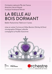 La Belle au Bois Dormant Opra de Massy Affiche