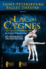 le lac des cygnes Le Dme de Paris - Palais des sports Affiche