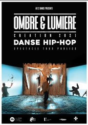 Ombre et lumière Thtre Roger Lafaille Affiche