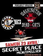 Washington Daed Cats + Happy Drivers + The Tazmen Secret Place Affiche