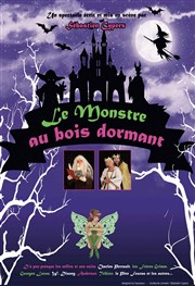 Le monstre au bois dormant Welcome Bazar Affiche