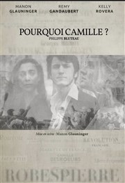 Pourquoi Camille ? Thtre Pixel Affiche