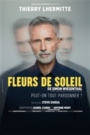 Fleurs de Soleil | avec Thierry Lhermitte Carrires du chteau de Lacoste Affiche