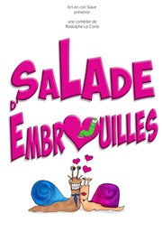 Salade d'embrouilles La Comdie de Nmes Affiche