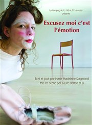 Excusez moi c'est l'émotion Thtre Les Feux de la Rampe - Salle 120 Affiche