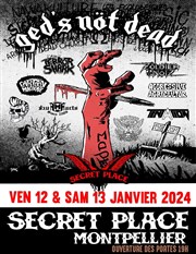 Ged nöt dead : Pass 2 jours Secret Place Affiche