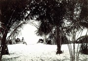 Les petites épouses des blancs / histoires de mariages noirs Thtre de l'Epe de Bois - Cartoucherie Affiche