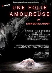 Une folie amoureuse La Comdie d'Aix Affiche