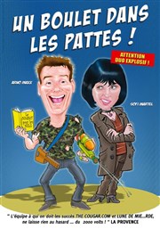 Un boulet dans les pattes La Comdie de Nmes Affiche