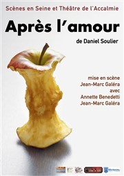 Après l'amour Thtre Espace 44 Affiche