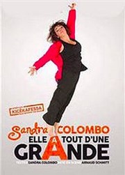 Sandra Colombo dans elle a tout d'une grande Thtre Carnot Affiche