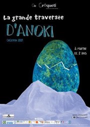 La grande traversée d'Anoki L'Arta Affiche