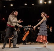 Ensemble Octoplus | Une Arlésienne nommée Carmen Salle de l'Astrolabe Affiche