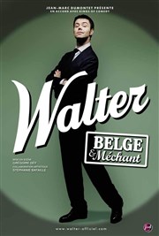 Walter dans Belge et Méchant Salle des Ftes de l'Htel de Ville de Saint Mand Affiche