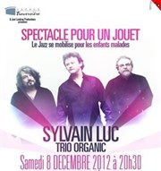 Un concert pour un jouet | Trio Organic Thtre Traversire Affiche