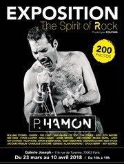 The Spirit of Rock Galerie Joseph Affiche