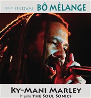 Ky-Mani Marley Chapiteau B Mlange Affiche