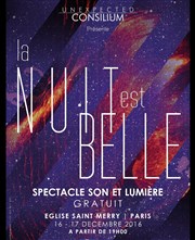 La nuit est belle glise Saint Merry Affiche