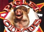 Piglet Circus | Ahora O Nunca Cirque Electrique - La Dalle des cirques Affiche