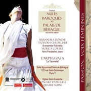 Ruxandra Donose, mezzo-soprano  Ensemble Pulcinella Palais de Behague Affiche