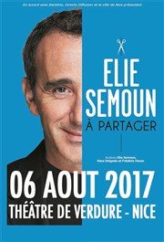 Élie Semoun dans À partager Thtre de Verdure Affiche