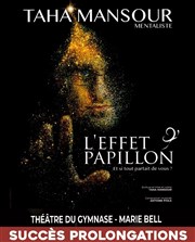 Taha Mansour dans L'Effet Papillon Petit gymnase au Thatre du Gymnase Marie-Bell Affiche