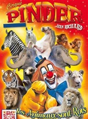 Cirque Pinder dans Les animaux sont rois | - Verdun Chapiteau Cirque Pinder  Verdun Affiche