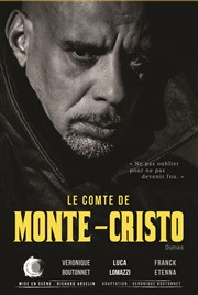 Le Comte de Monte-Cristo L'ne Vert Thtre Affiche