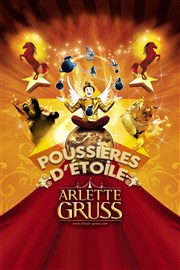 Cirque Arlette Gruss dans Poussières d'étoile | Avignon Chapiteau Arlette Gruss  Avignon Affiche