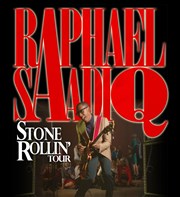 Raphael Saadiq Le Bataclan Affiche