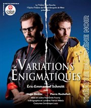 Variations énigmatiques Thtre du Chne Noir - Salle Lo Ferr Affiche