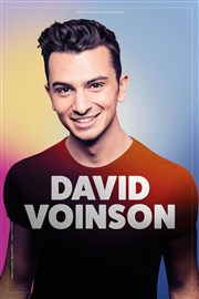 David Voinson Festival dt - Aushopping Avignon Nord Affiche